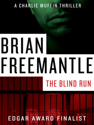 Blind Run - ebook